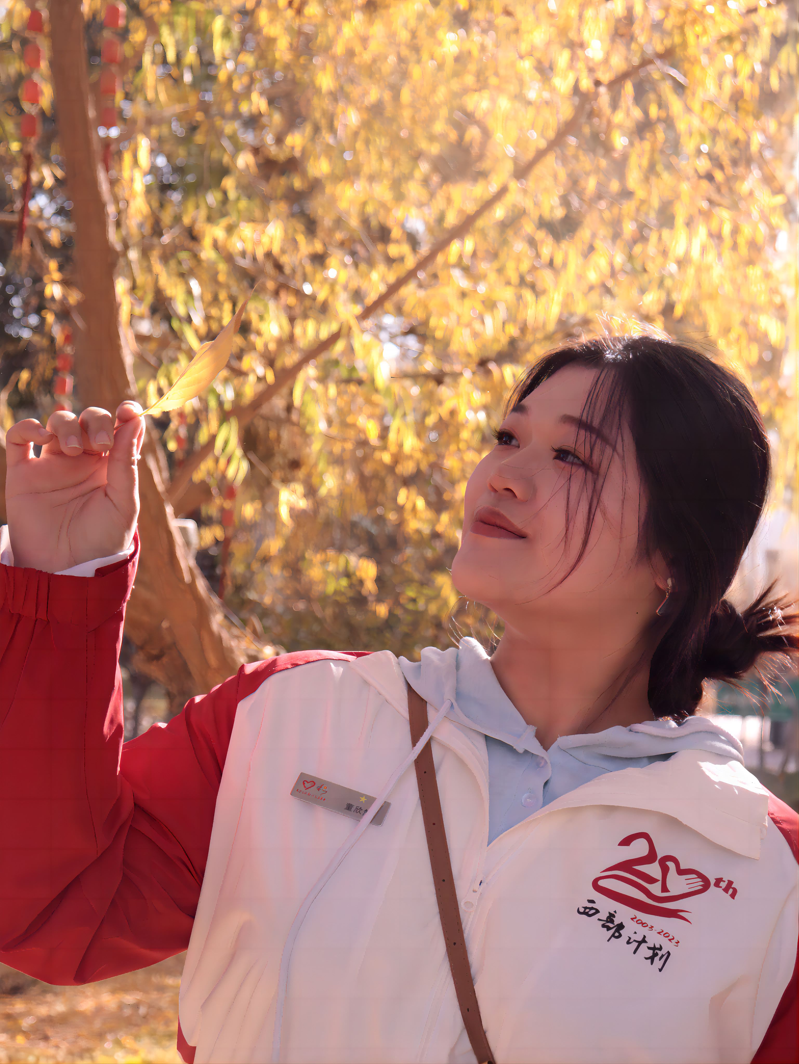 图片1(1)(1).png